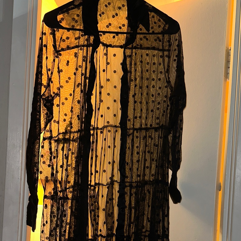 Zara Black Sheer Polka Dot sheer dress